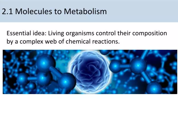 2 1 molecules to metabolism