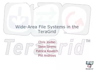 Wide-Area File Systems in the TeraGrid