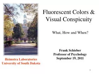 Fluorescent Colors &amp; Visual Conspicuity