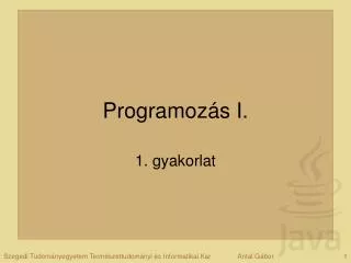 programoz s i