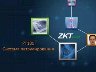 pt100
