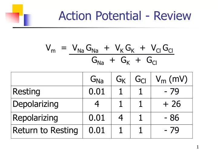 action potential review