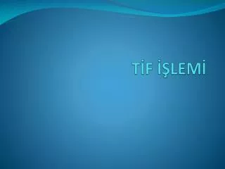 t f lem