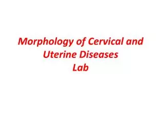 Morphology of Cervical and Uterine Diseases Lab