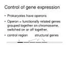 Control of gene expression - slide 1