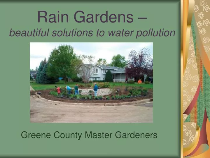 rain gardens beautiful solutions to water pollution