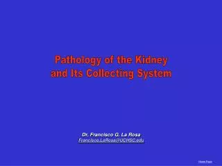 Pathology of the Kidney and Its Collecting System