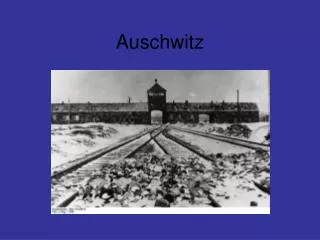 auschwitz