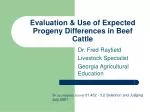 Evaluation &amp; Use of Expected Progeny Differences in Beef Cattle - slide 1