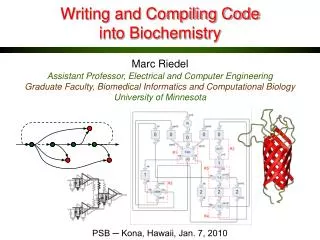 Writing and Compiling Code into Biochemistry