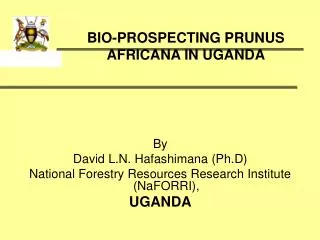BIO-PROSPECTING PRUNUS AFRICANA IN UGANDA