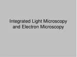 Integrated Light Microscopy and Electron Microscopy - slide 1