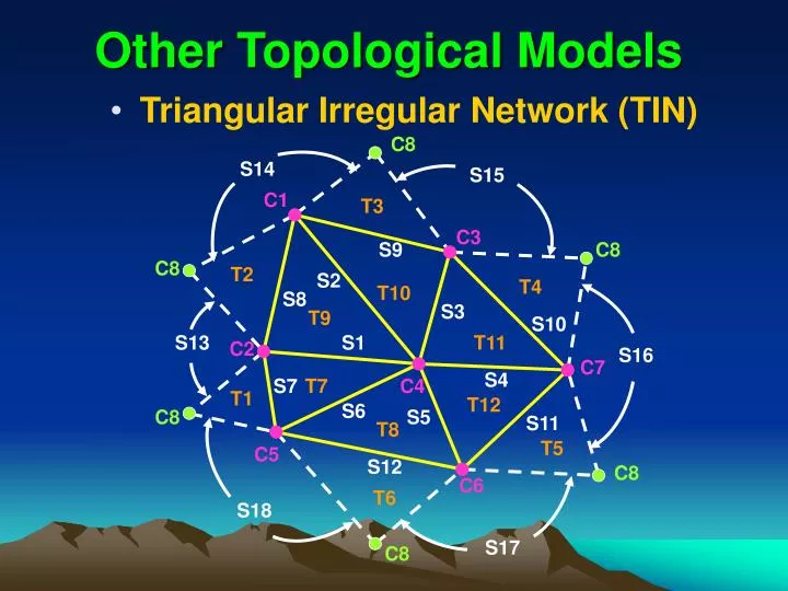 other topological models