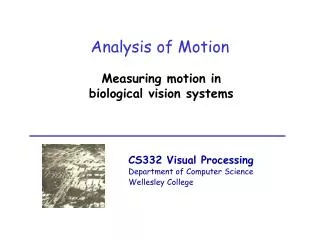 Analysis of Motion