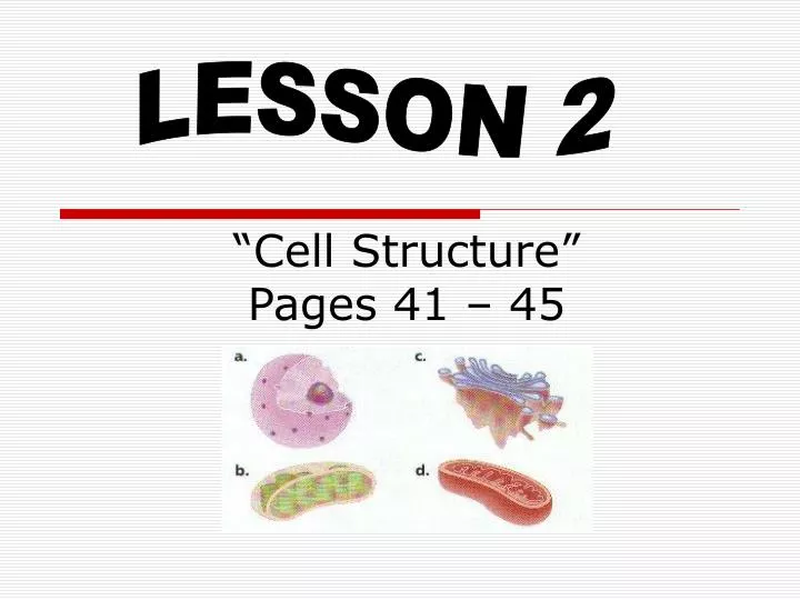 cell structure pages 41 45