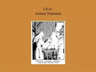 Ch.41 Animal Nutrition