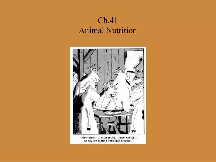 ch 41 animal nutrition