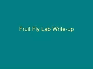 Fruit Fly Lab Write-up