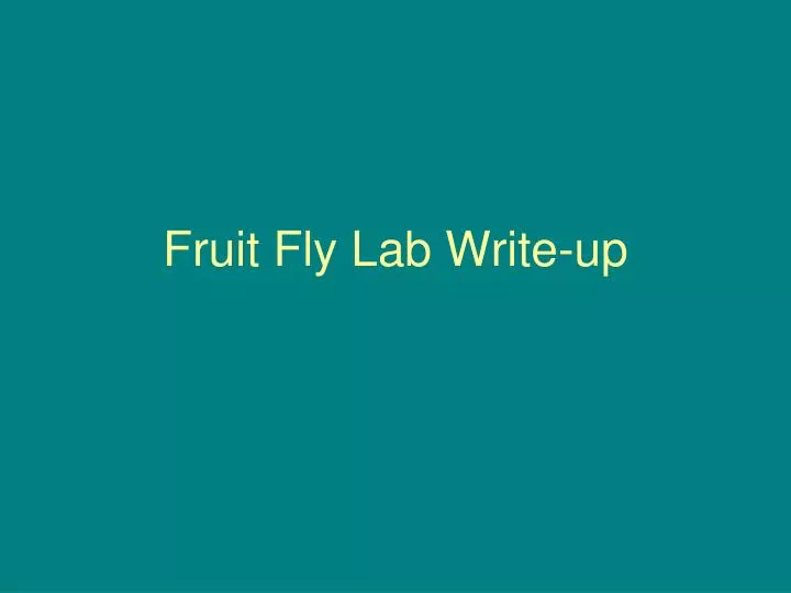 fruit fly lab write up
