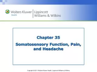 Chapter 35 Somatosensory Function, Pain, and Headache