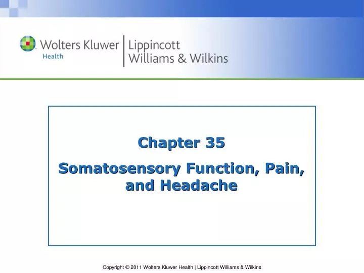 chapter 35 somatosensory function pain and headache