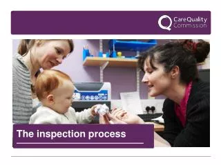 The inspection process