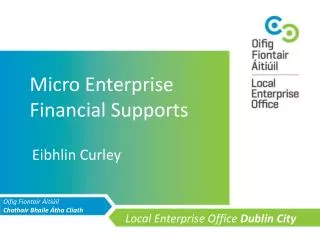 Micro Enterprise Financial Supports
