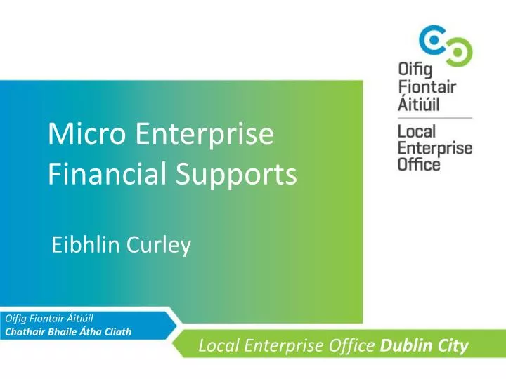 micro enterprise financial supports