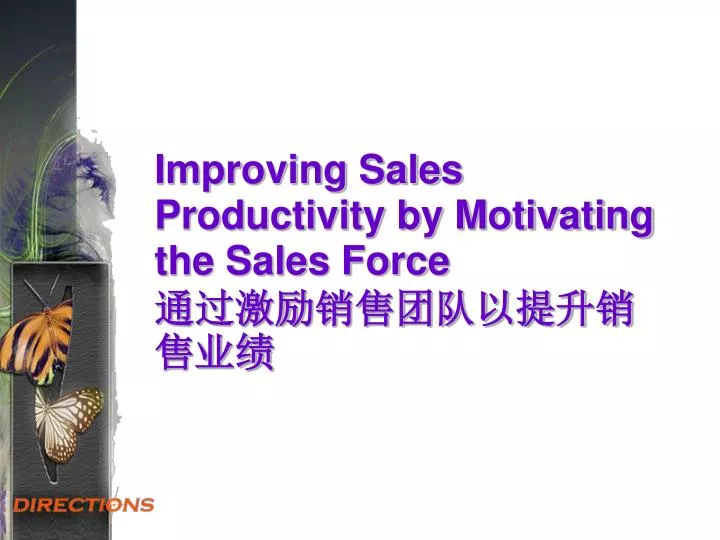 improving sales productivity by motivating the sales force