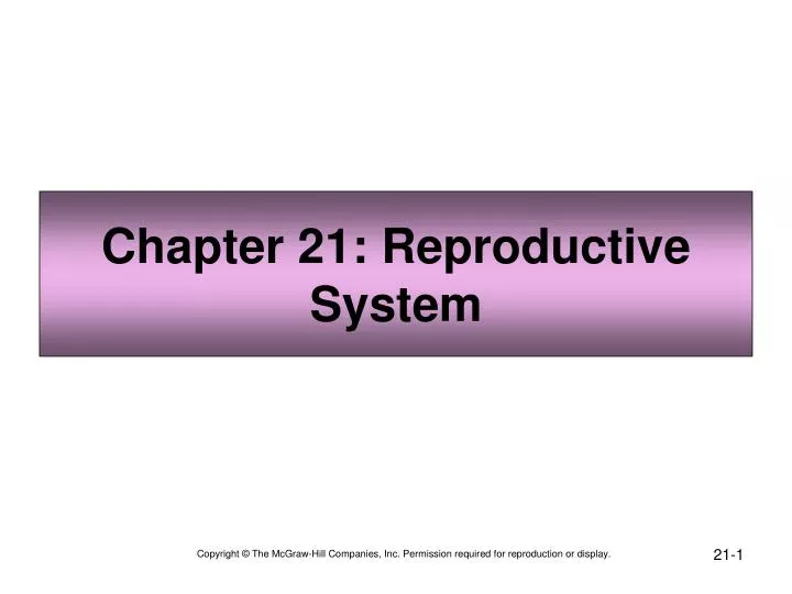 chapter 21 reproductive system