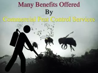 Many Benefits Offered By Commercial Pest Control Services