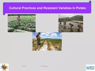 Cultural Practices and Resistant Varieties in Potato