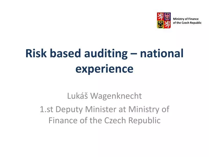 risk based auditing national experience