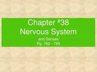 Chapter # 38 Nervous System