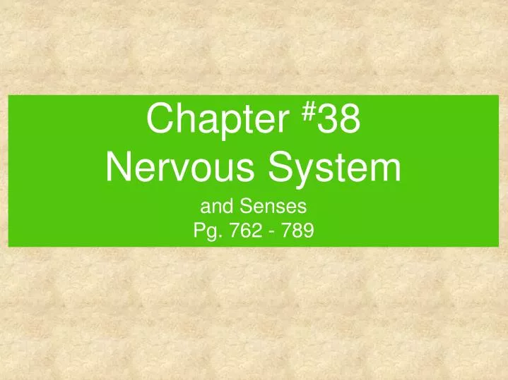 chapter 38 nervous system