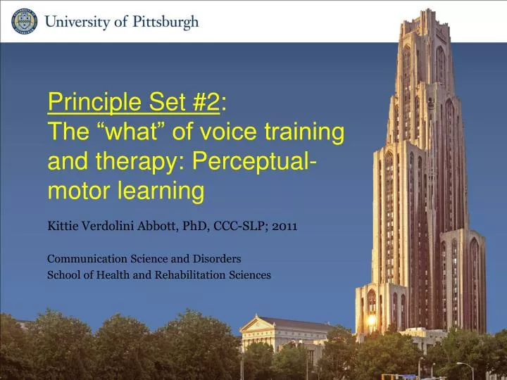 principle set 2 the what of voice training and therapy perceptual motor learning