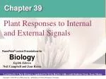 Chapter 39 - slide 1