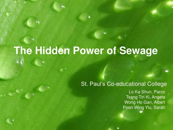 the hidden power of sewage