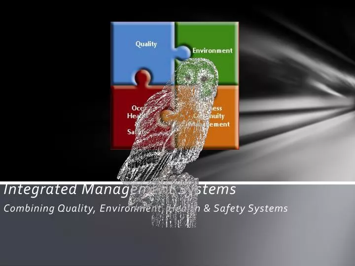 integrated management systems combining quality environment health safety systems