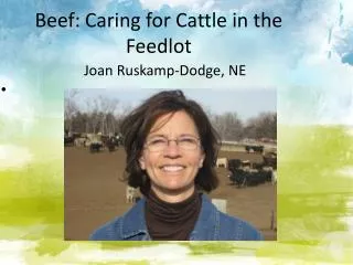 Beef: Caring for Cattle in the Feedlot