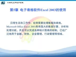5 excel 2003