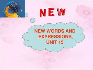 NEW WORDS AND EXPRESSIONS UNIT 15