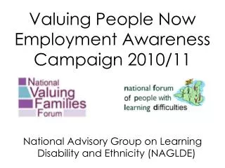 Valuing People Now Employment Awareness Campaign 2010/11