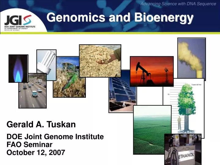 genomics and bioenergy
