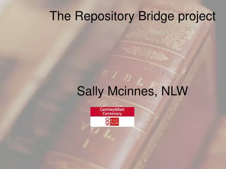 the repository bridge project sally mcinnes nlw