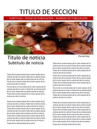 titulo de seccion