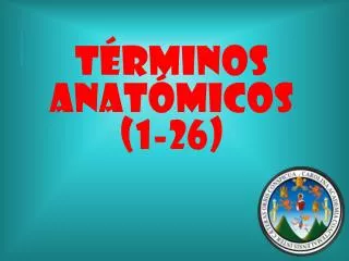 t rminos anat micos 1 26