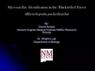 Microsatellite Identification in the Thick-billed Parrot ( Rhynchopsitta pachyrhyncha )