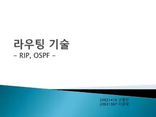 rip ospf