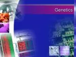 Genetics - slide 1